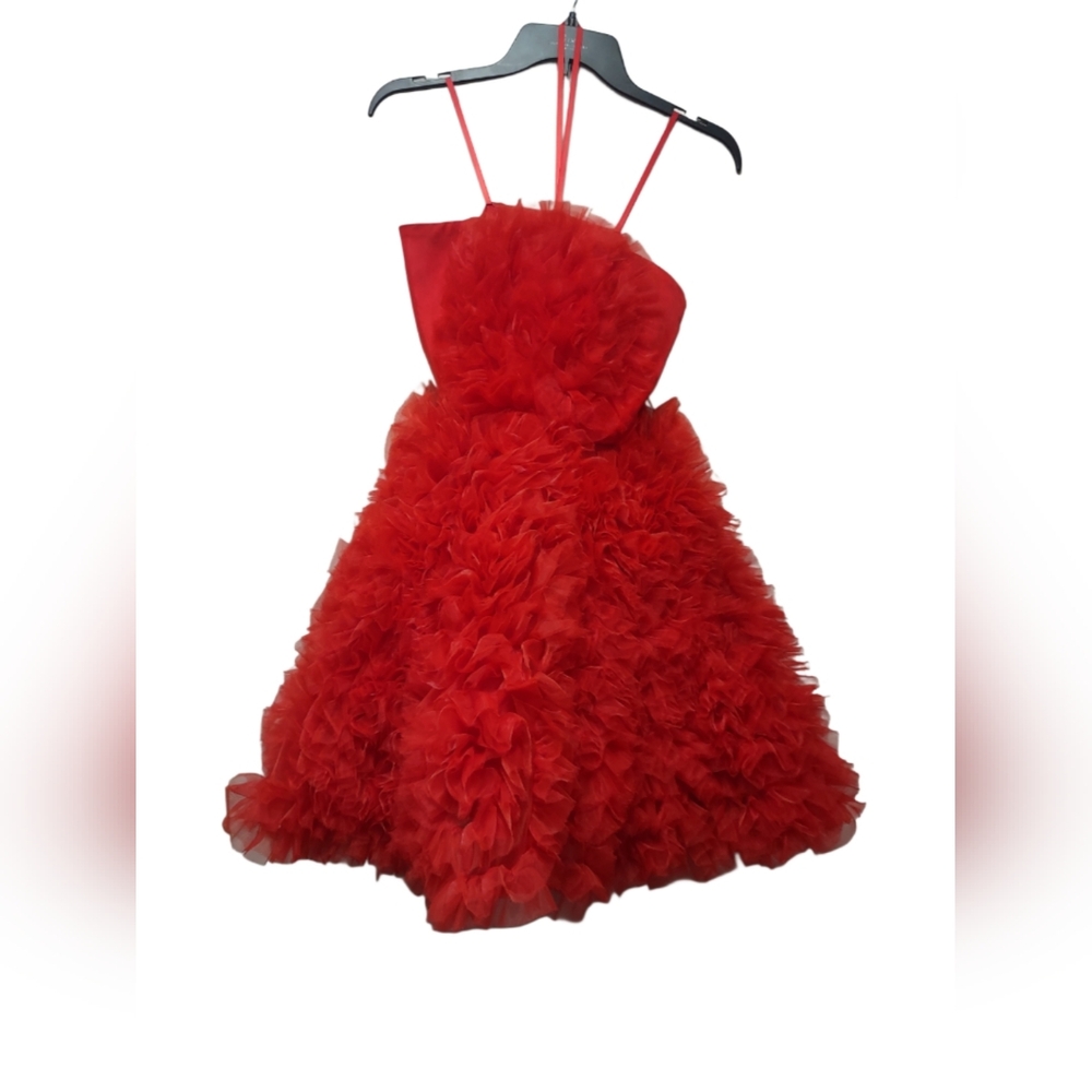 Pearl Georgina Chapman Marchesa Elegant Red Ruffled Dress NWOT Size 2